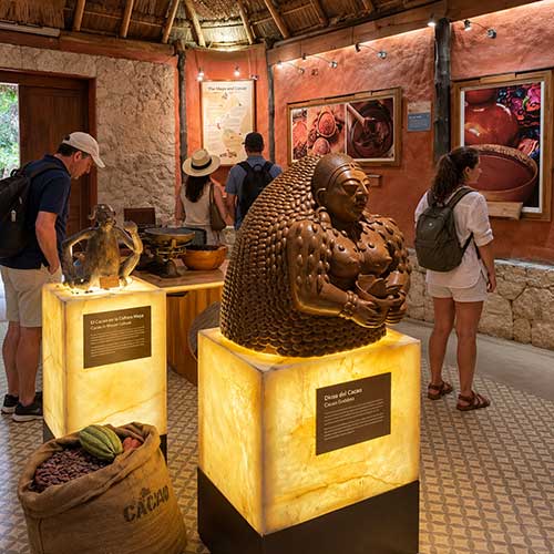 Cacao Goddess Museum Exhibit