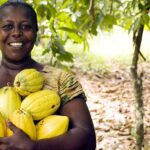 Empowering Farmers: Success Stories of Cocoa Farming Cooperatives