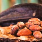 How Climate Change is Affecting Cocoa Production