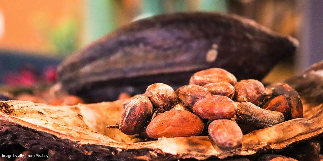 How Climate Change is Affecting Cocoa Production