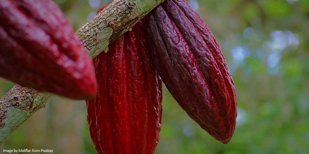 How Ruby Chocolate Became the “Fourth Type” of Chocolate