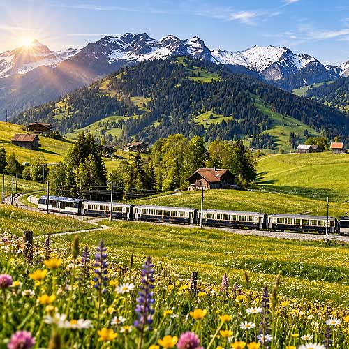 Alpine Train Through Wildflower Meadows