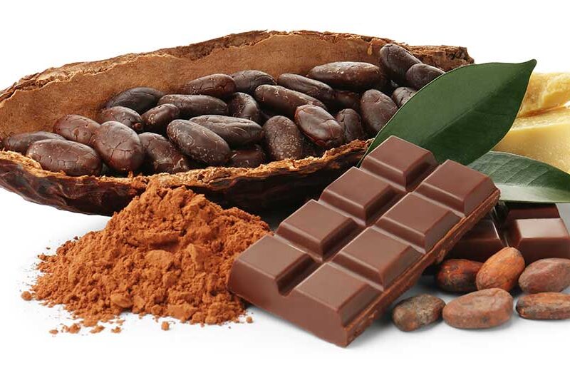 The Future of the Chocolate Industry: Global Trends, Ethics, and Innovation
