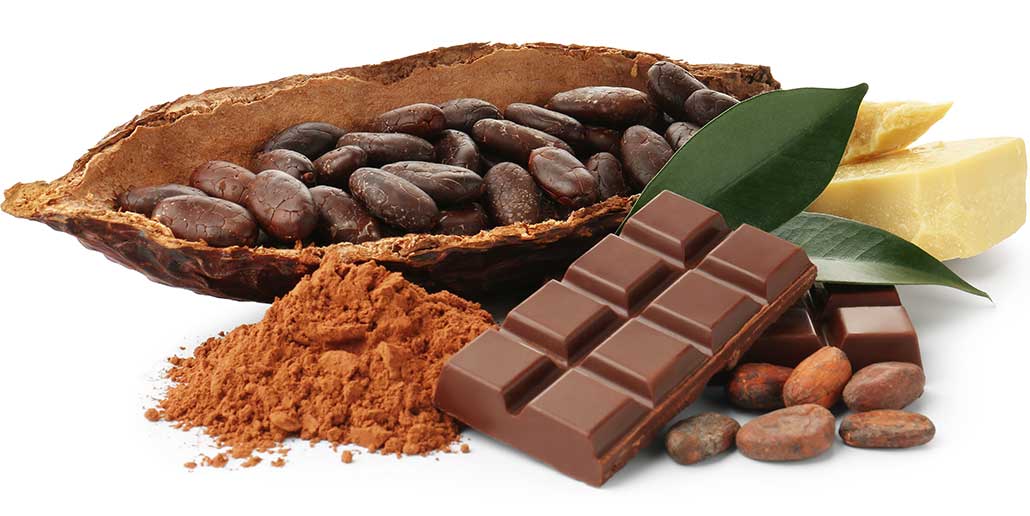 The Future of the Chocolate Industry: Global Trends, Ethics, and Innovation