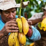 Latin America’s Chocolate Heritage: From Ancient Civilizations to Modern Revival