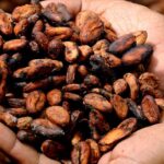 Did You Know Chocolate Was Once Currency?