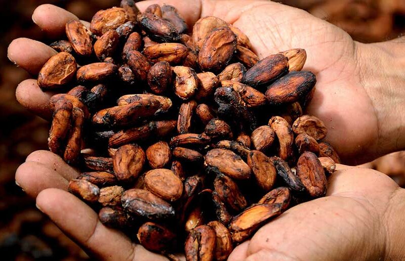 Did You Know Chocolate Was Once Currency?