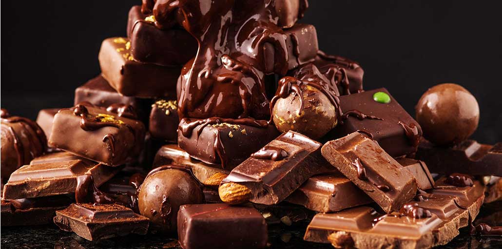 Scientists Uncover Microbial Secret to Fine Chocolate Flavour