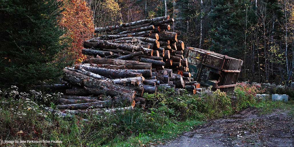 EU Deforestation Regulation Sparks Tensions in Chocolate Trade