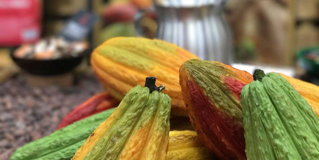 Sustainability in the Cocoa Industry