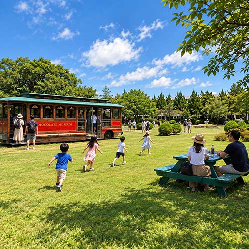 Sunny Chocolate Museum Garden Picnic