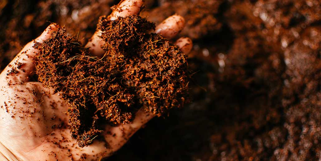 Exploring Cocoa Alternatives