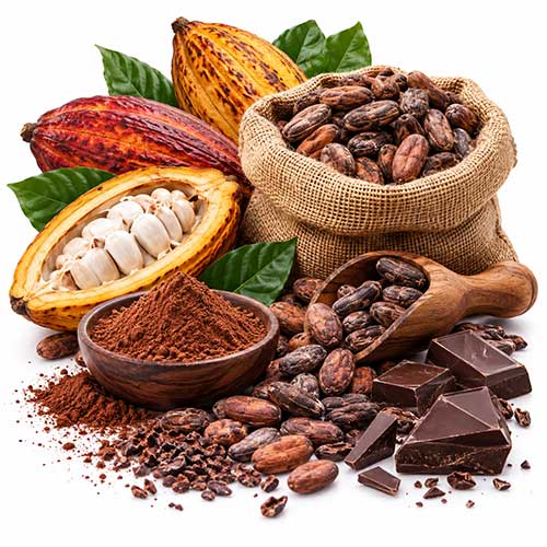 Chocolate pods, beans, powder